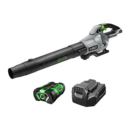 $50 Off EGO Leaf Blower!