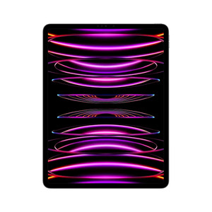 Ipad Pro 12.9 inch 6th gen at Costco $799.97