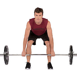 Costco olympic on sale weights