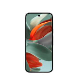 New Google Fi Customers w/ Activation: 128GB Pixel 9 Pro and Pixel Watch 3 LTE Free after 24 monthly credits + Free Shipping
