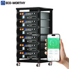 6-Pack ECO-WORTHY 48V 100Ah LiFePO4 Batteries + Battery Monitor + Server Rack $4699.99 + Free Shipping