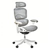 Nouhaus Kyrix Ergonomic Office Chair with 3D Armrests and S…