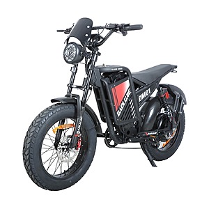 BAOLUJIE DM01 20" Off-Road E-Bike w/ 2000W Motor & 60V 30Ah Battery $899 + FS