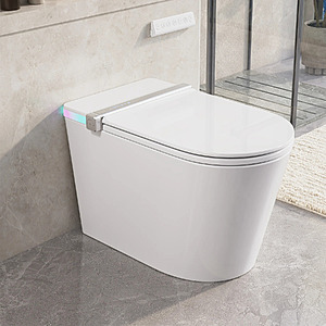 DeerValley Smart Toilet with Bidet, Heated Seat, Built-in Tank & Pump (DV-1S0360, Advanced) $517.65 + Free Shipping