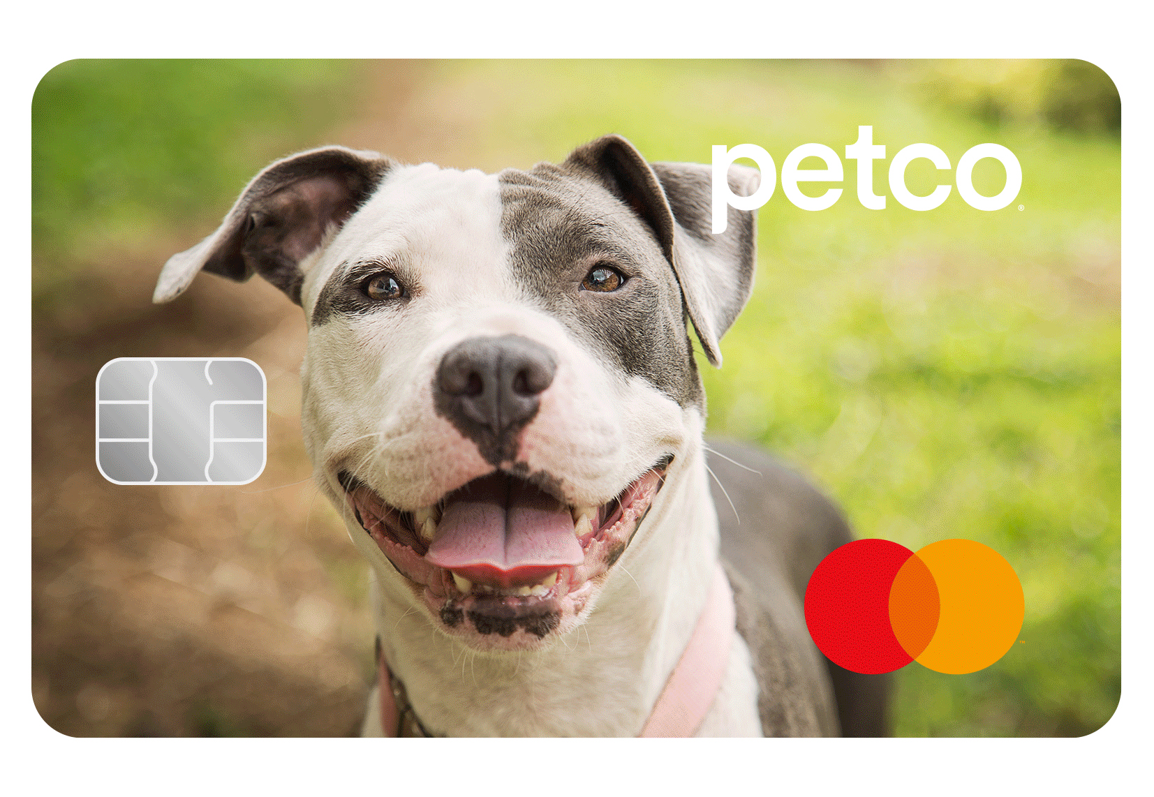 Petco Pay Mastercard Credit Card: Get 20% Off Your First Purchase at Petco