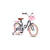 14&amp;quot; RoyalBaby Girls' Bicycle w/ Basket &amp;amp; Training Wheels $49.99 + Free Shipping w/ Prime