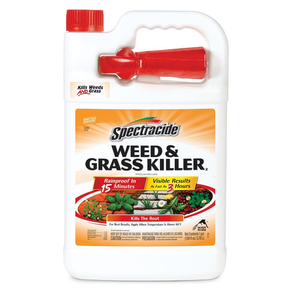 1-Gallon Spectracide Ready-to-Use Weed & Grass Killer $6 + Free Store Pickup at Home Depot