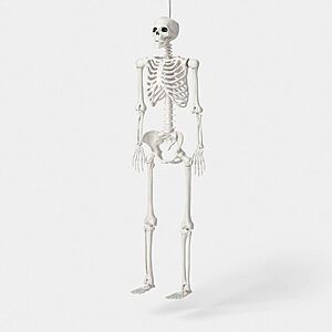 60" Hyde & EEK! Boutique Poseable Lifesize Skeleton Halloween Prop