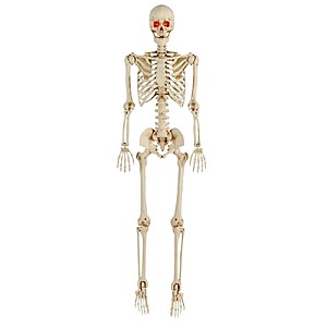 Select Stores: 5' LED Pose-N-Stay Skeleton