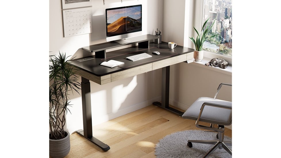 Eureka Ergonomic Stand Up Desk Double Drawers and Hutch $599.00 (non-sale $1,200)