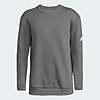 adidas Kids' Fleece Crewneck Sweatshirt (Team Grey Four/White) $9.60 + Free Shipping