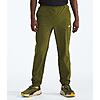The North Face Men's Wander Joggers 2.0 (Forest Olive) $25 + Free Shipping