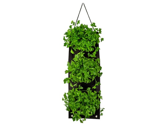 Touch of Eco Organic Hanging Herb Kit (Basil, Oregano, or Parsley) $17 + Free Shipping w/ Prime