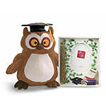 10.5&quot; Musical Owl &amp; Russ Photo Frame Graduation Gift Set $20 + Free Shipping