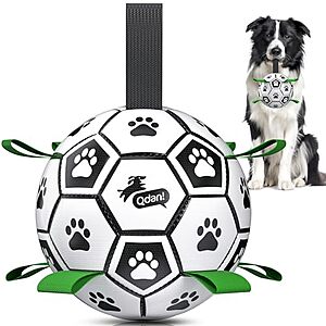 6" QDAN Dog Soccer Ball w/ Straps (Black/Green)