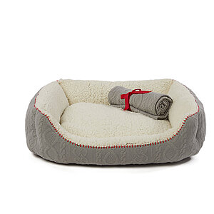 Petsmart dog discount beds in store