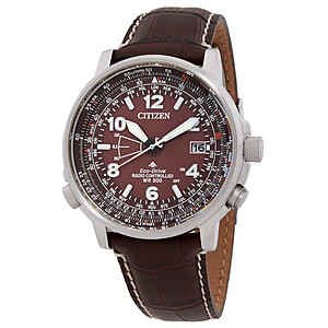 42mm Citizen Promaster Sky Perpetual World Time Men's Watch (Brown Dial) $234 + Free S&H