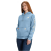 Carhartt Women's Relaxed Fit Midweight Logo Sleeve Graphic Hoodie (Various) $27.49 + Free Shipping