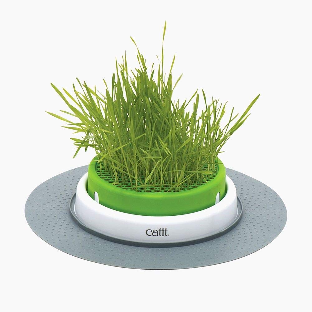14.6" Catit Senses 2.0 Interactive Cat Grass Planter Toy $7 + Free Shipping w/ Prime or on $25+