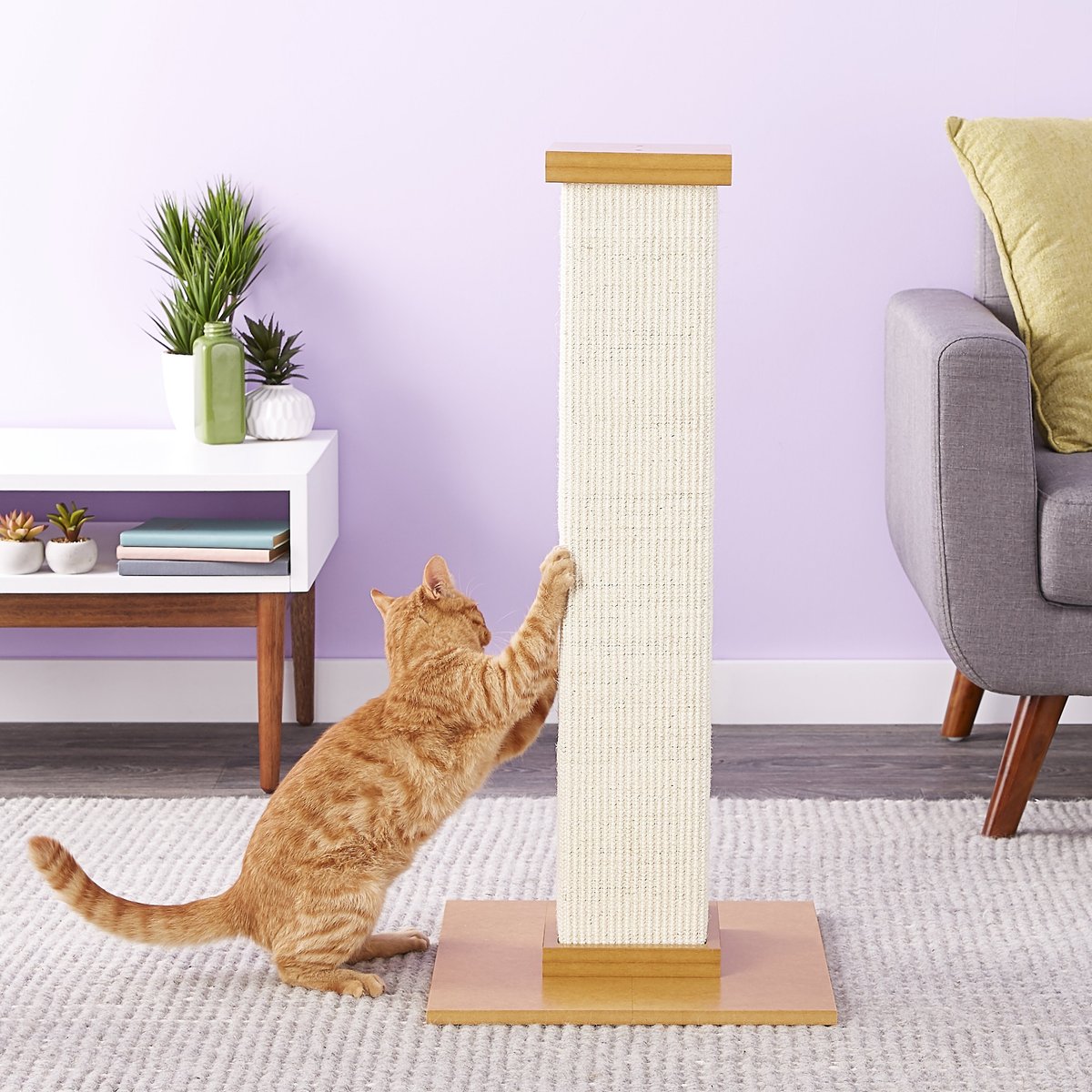 New Chewy Customers: 32" SmartCat The Ultimate Sisal Cat Scratching Post (Beige) $30 + Free Shipping