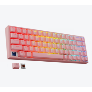 Tilted nation 2025 rgb