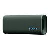 (Cert Refurb) SONY ULT FIELD 3 IP67 Portable Bluetooth Speaker (Forest Gray)