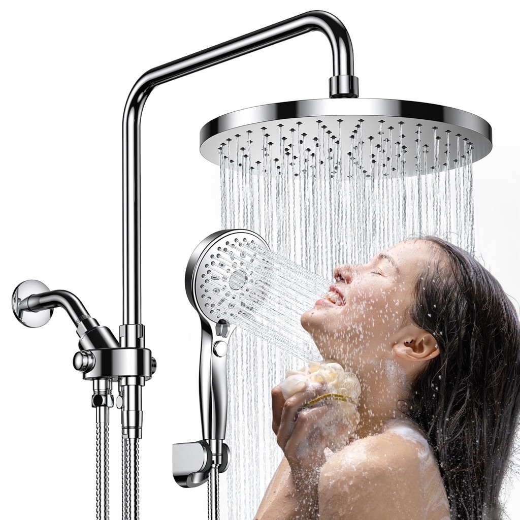 Ambicasa Luxury Dual Showerhead Combo, 10