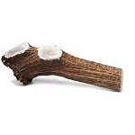 XL Elk Antler Chew for Dogs (10-12&quot; ~2lbs) $24.99 or less($19.99) w/S&amp;S