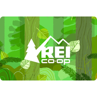 Rei credit card $100 gift card