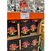 Lego Japanese Red Maple Bonsai Tree (10348) - $39.97 @ Costco in-store YMMV