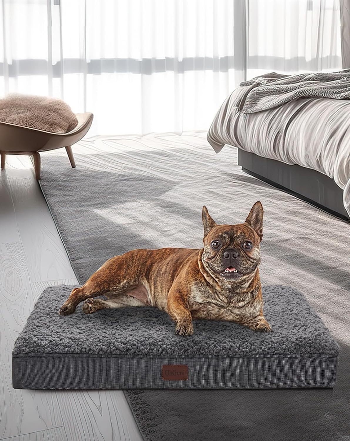 OhGeni Waterproof Medium Orthopedic Dog Bed w/ Machine Washable Pet Bed Cover $15 + Free Shipping w/ Prime or orders $35+