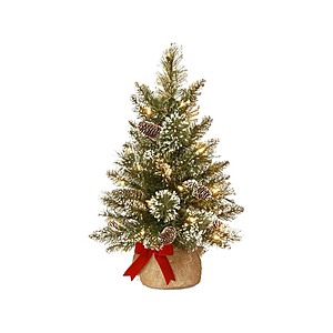 2' National Tree Company Pre-lit Artificial Mini Christmas Tree $17 + Free Shipping w/ Amazon Prime