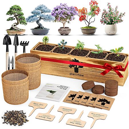 Bonsai Tree Kit $19.17