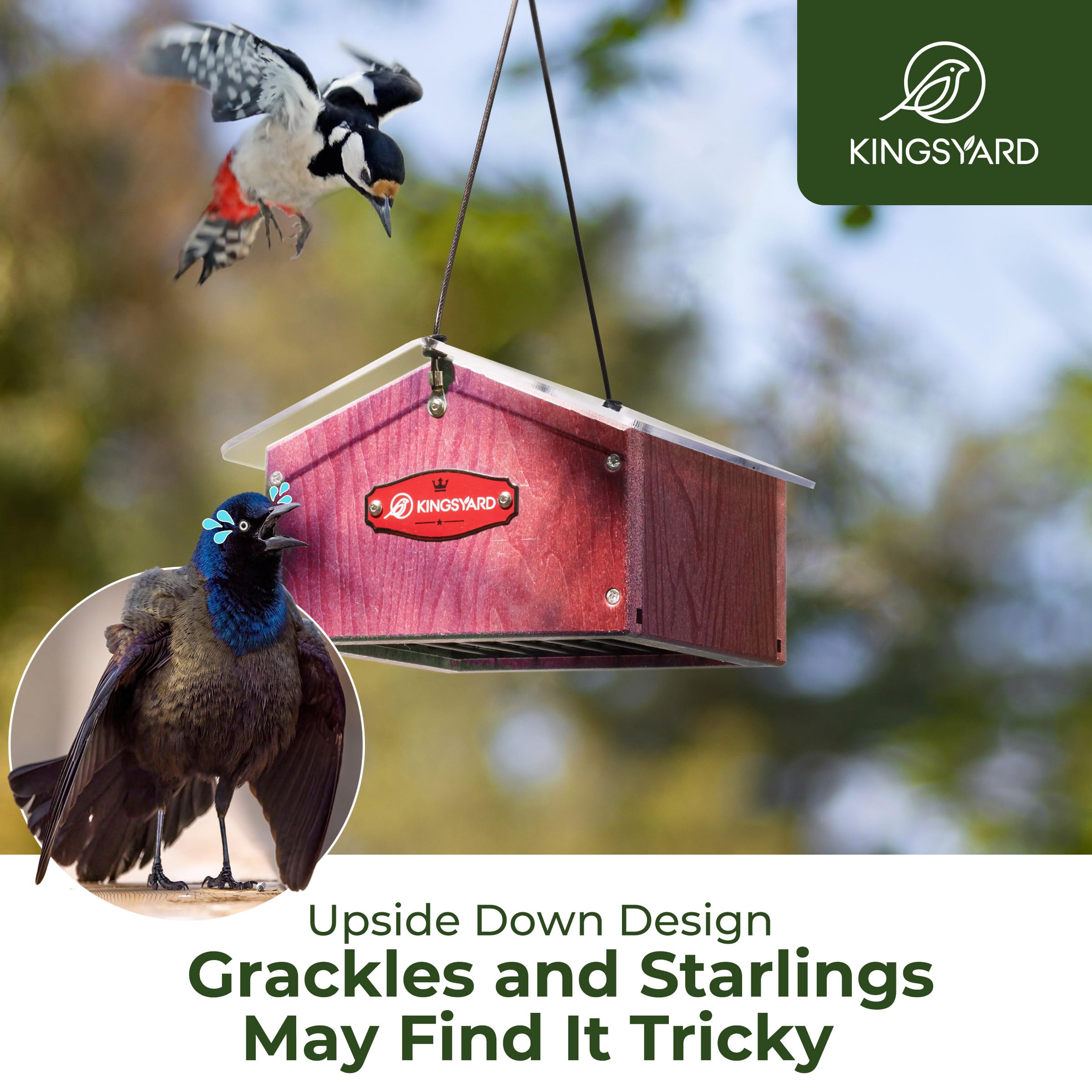 Kingsyard Upside Down Double Suet Feeder for Outside Hanging $12.64