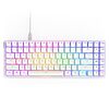 NZXT Function 2 Mini TKL RGB Wired Gaming Keyboard (White) $54.94 + Free Shipping