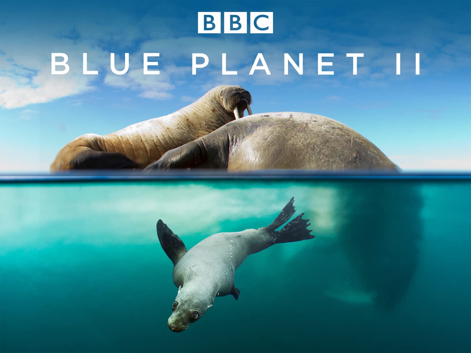 Blue Planet II: Season 1 (Digital HD) $10