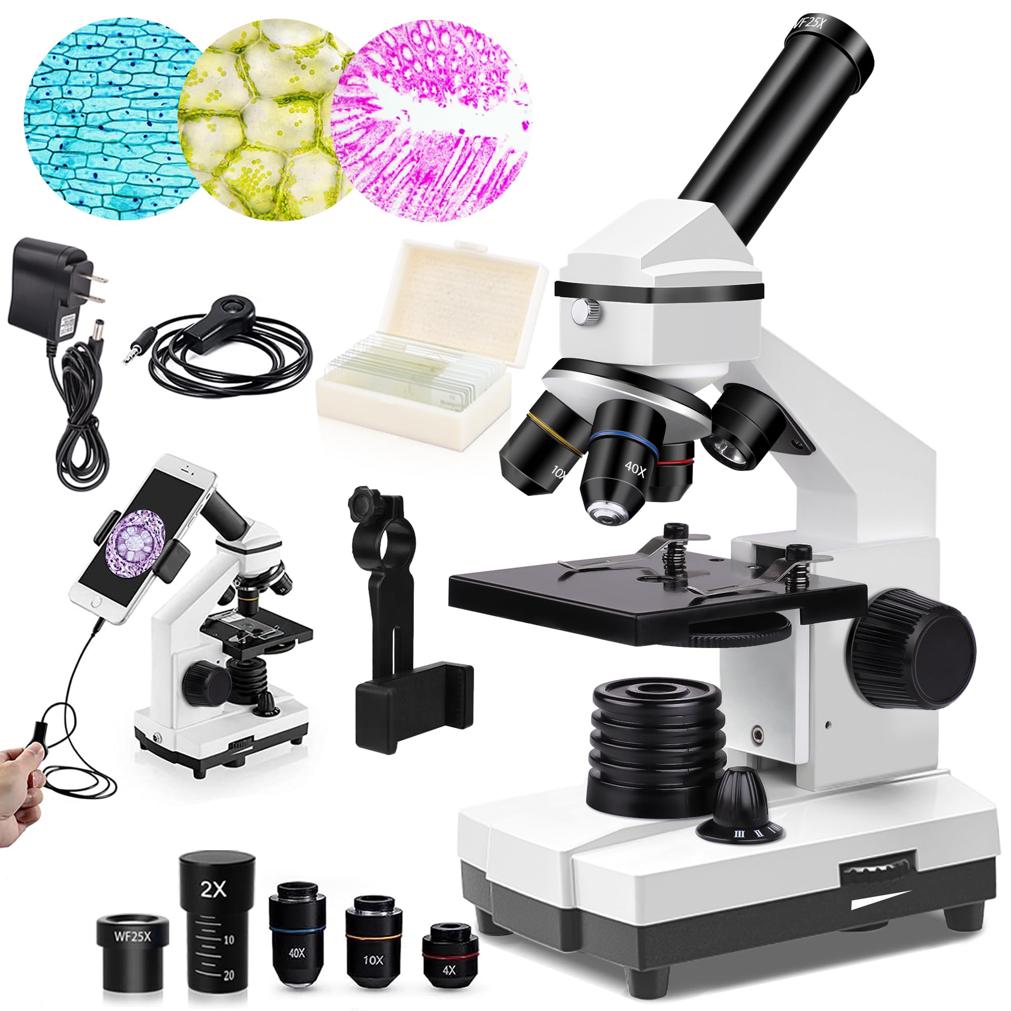 PalliPartners Compound Microscope Powerful Biological Microscopes, 100X-2000X $93.49