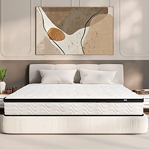 $169.98 MOLBIUS Queen Mattress 10 Inch | Queen Size Hybrid Mattresses in a Box | Medium Firm Feel Memory Foam and Individual Pocket Springs