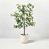 Hearth &amp;amp; Hand with Magnolia 33&amp;quot; Faux Potted Gypsophila Leaf Tree $23 + Free Shipping