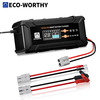 ECO-WORTHY 12V/24V 20A Lithium LifePO4 14.6V Smart Battery Charger &amp;amp; Maintainer $42.49 + Free Shipping