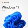 Windows 11 Pro Lifetime Activation Key (Digital Download, Instant Delivery) $8