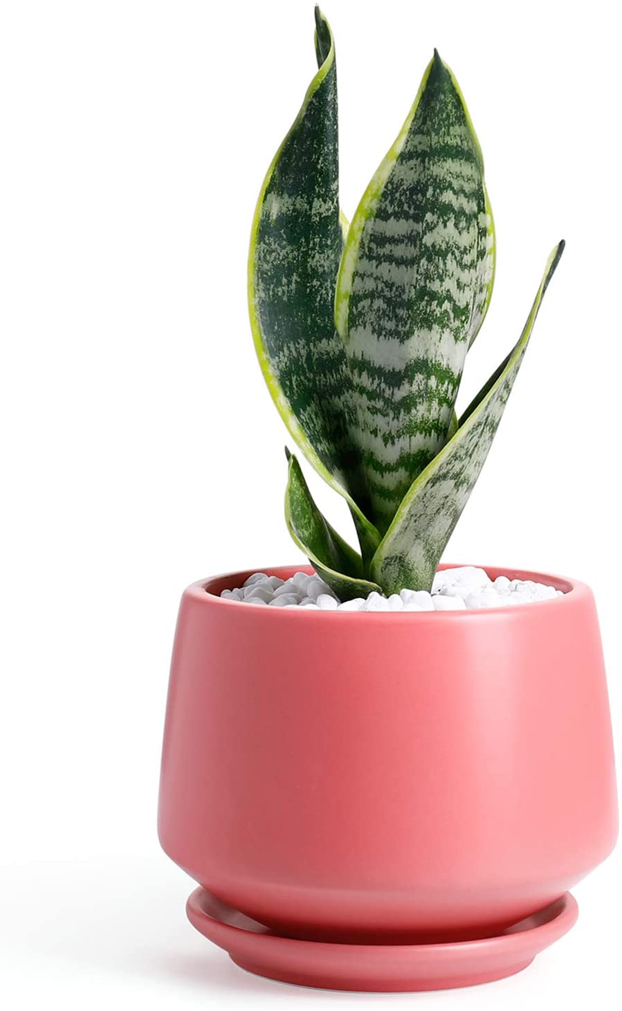 5.9 inch POTEY Ceramic Plant Pot with Drainage Hole (6 colors) $14.99