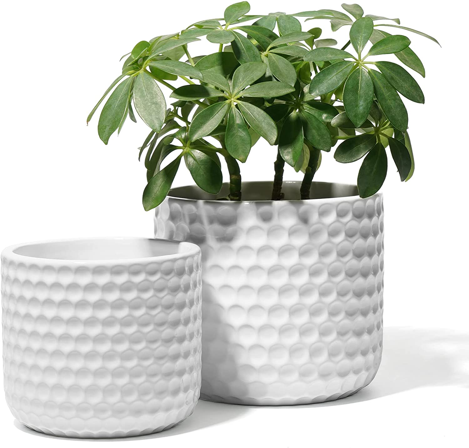 2 PC POTEY 6 and 5 Inch Ceramic Planter (Various) $11.99 + Free Shipping w/ Prime or orders $25+
