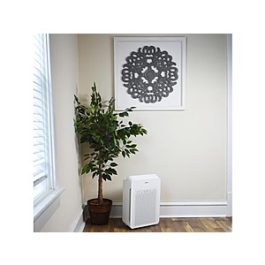 Winix true hepa air sales purifier c545