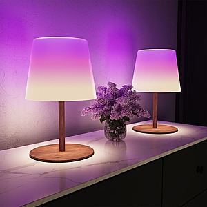 2-Pack EZVALO RGB Color Changing Shower Lamp IP65 Waterproof (Wood Grain) $30 + Free Shipping