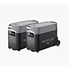EcoFlow DELTA Pro Smart Extra Battery - 2 pack $1799.99