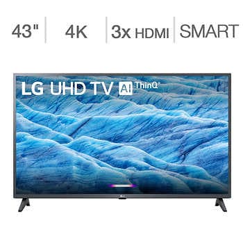 Lg 43 4k Tv Pc Monitor 240 At Costco