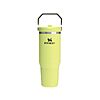 30-oz Stanley IceFlow 2.0 Flip Straw Tumbler with Handle Insulated Stainless Steel $20