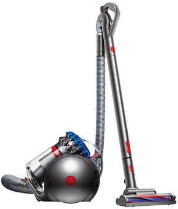 Costco: Dyson Big Ball Animal+ Canister