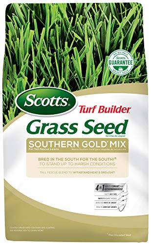 Scotts Turf Builder Grass Seed Southern Gold Mix for Tall Fescue Lawns to Stand Up to Harsh Conditions 40 lbs - $63.99